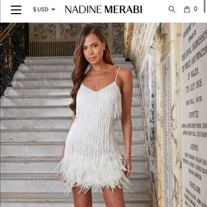 Nadine Merabi Lottie Dress in Medium (sold out online)